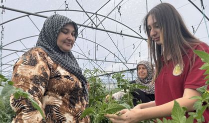 Uygulama Seralarında Tarımı Öğrenen Liseliler, Bilinçli Üretime Öncülük Ediyor