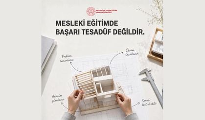 Çözüm geliştirir, bilgisini uygulamaya aktarır ve yaptığı işi değerlendirir