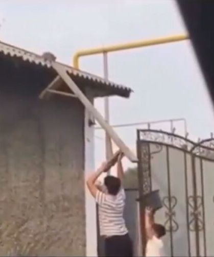 Erzincan'da kedi kurtarma operasyonu