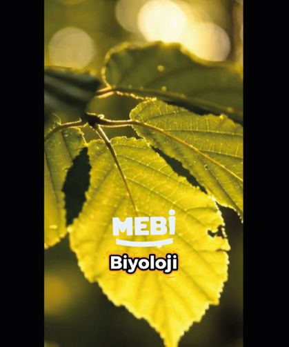MEBi Biyoloji