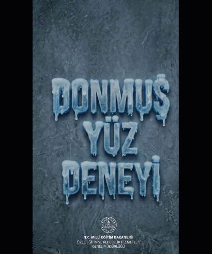 DONUK YÜZ DENEYİ