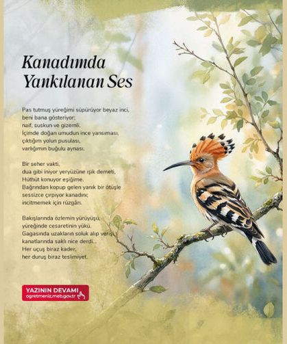 Kanadımda Yankılanan Ses