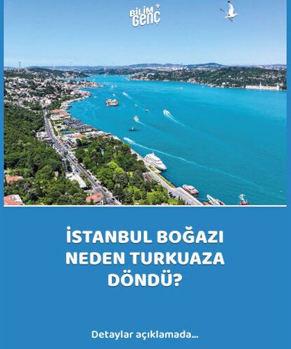 İstanbul Boğazı neden turkuaza döner?