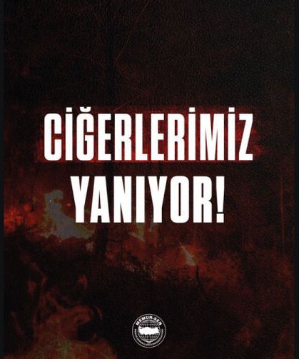 Ciğerlerimiz Yanmasın!