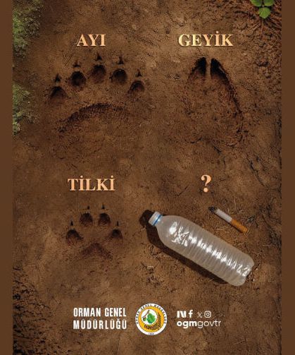 Ayı