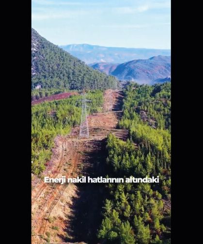 Enerji nakil hatlarının geçtiği alanlarda yangın riski azaltılıyor