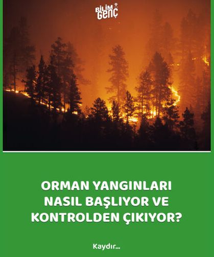 Orman yangınları nasıl başlıyor ve kontrolden çıkıyor?