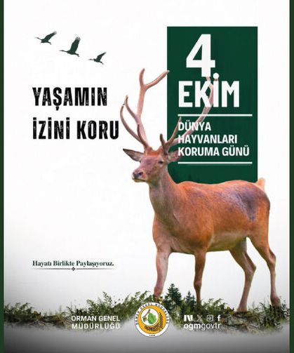 Her dalda, her kovukta, her patikada yaşamın başka bir izi vardır