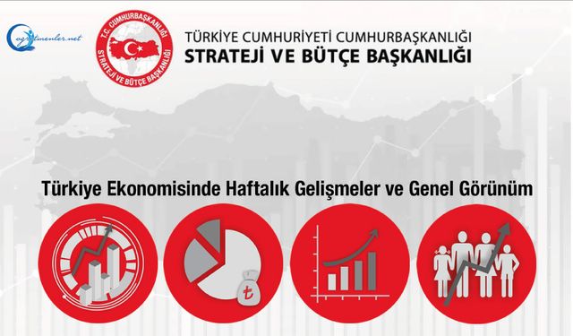 Türkiye Ekonomisinde Haftalık Gelişmeler ve Genel Görünüm 15.11.2024