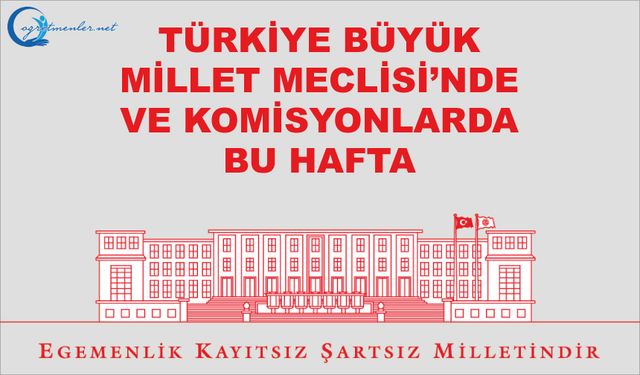 TBMM'de bu hafta 25/11/2025