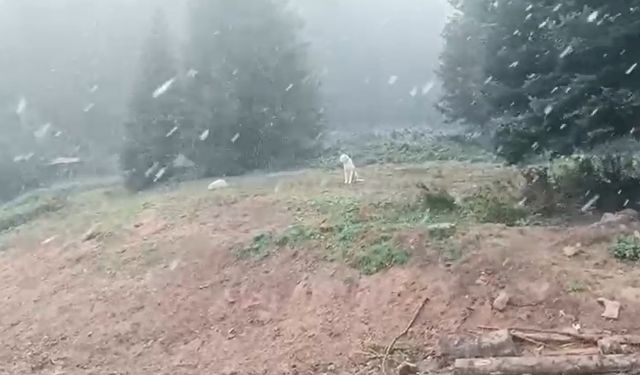 Ilgaz Dağı’nda kar yağışı başladı