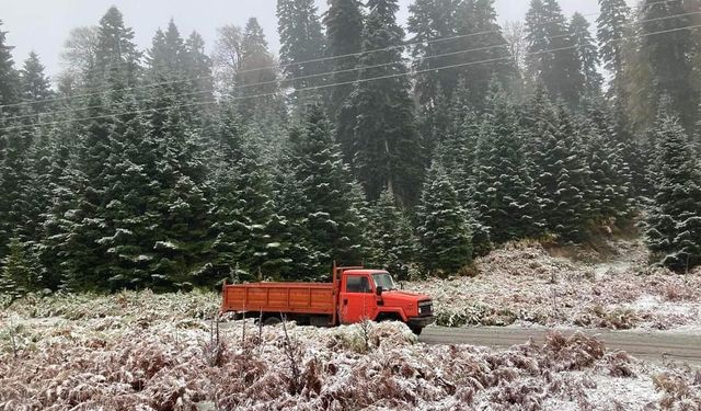 Sakarya’nın yüksek kesimleri kısmen beyaza büründü