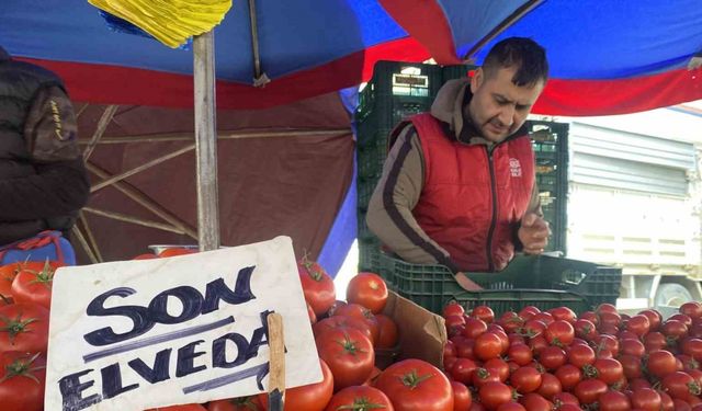 Ucuz ve lezzetli bahçe domateslerine esnaf ’Son elveda’ dedi