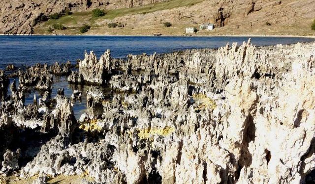 Van Gölü her geçen yıl biraz daha çekiliyor