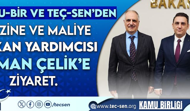 Teç-Sen'den Hazine Ve Maliye Bakan Yardımcısı Osman Çelik Ziyaret