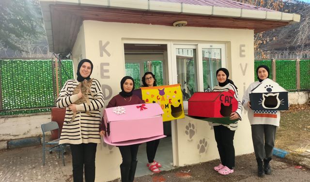 Güvenlik kulübesini kedi evine dönüştürdüler minik dostlarımıza sıcak bir yuva kazandırdılar