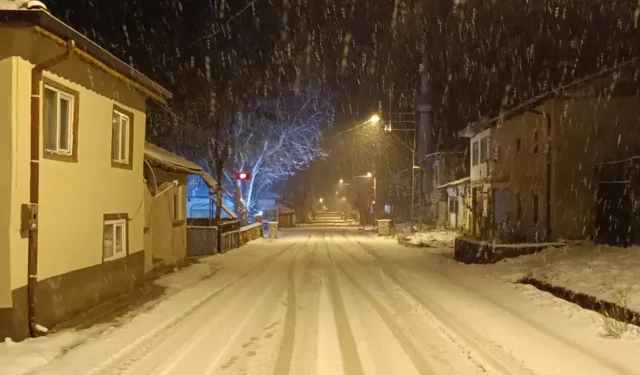 Bilecik Pazaryeri’nde kar yağışı etkili oluyor