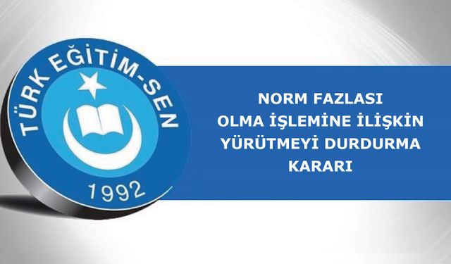 Norm Fazlası Olma İşlemine İlişkin Yürütmeyi Durdurma Kararı