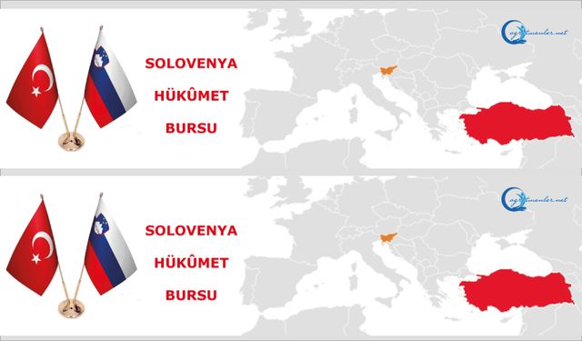 Slovenya Hükümet Bursu