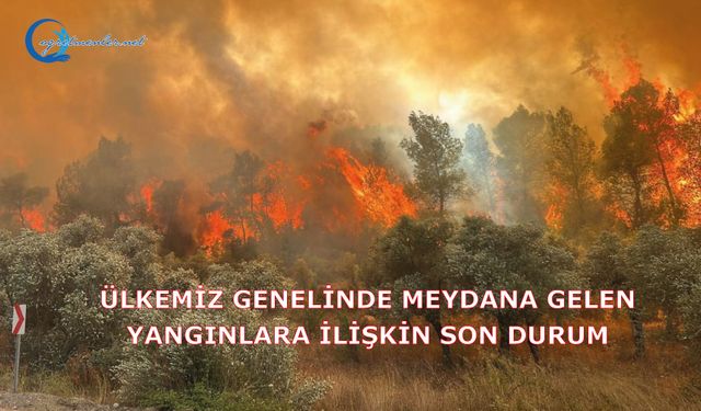Ülkemiz Genelinde Meydana Gelen Yangınlara İlişkin Son Durum