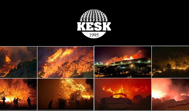 Yaşam alanlarımıza sahip çıkıyor, tüm halkımıza yangınla mücadele için çağrıda bulunuyoruz!
