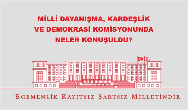 Milli Dayanışma, Kardeşlik Ve Demokrasi Komisyonunda neler konuşuldu?