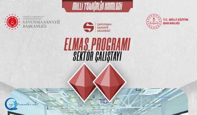 ELMAS Programı Sektör Çalıştayları