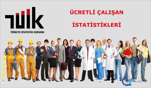 Ücretli Çalışan İstatistikleri