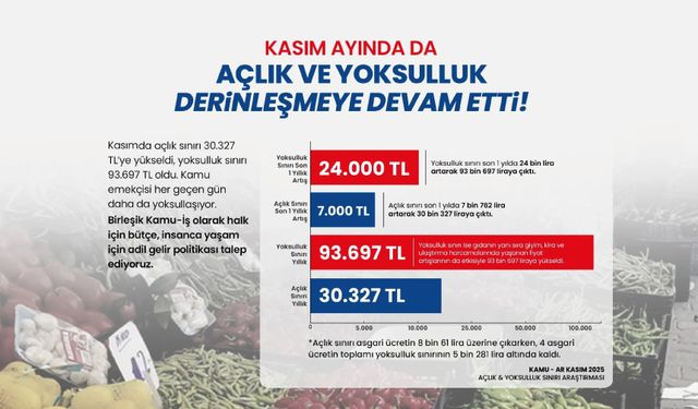 Açlık-Yoksulluk Araştırması Kasım 2025