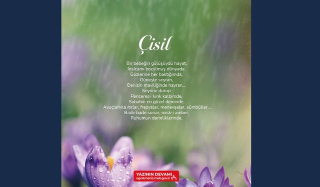 "Çisil" şiiri ÖğretmenİZ dergisinde!