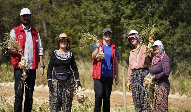 Gönüllü Hasat Etkinliği 81 İlde Başarıyla Tamamlandı