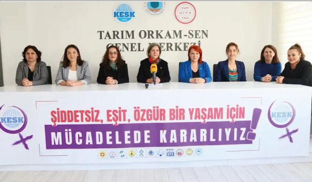 Kadına Yönelik Şiddete Karşı Mücadele ve Uluslararası Dayanışma mücadele takvimi