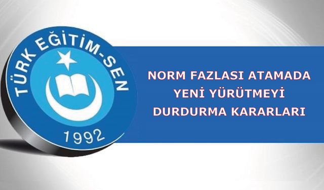 Norm Fazlası Atamada Yeni Yürütmeyi Durdurma Kararları
