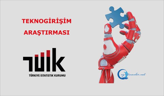 Teknogirişim Araştırması, 2024