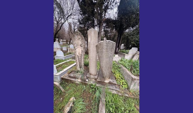 Cezayirli Gazi Hasan Paşa Kabristanlığı