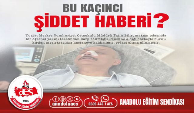 Bu Kaçıncı Şiddet Haberi?