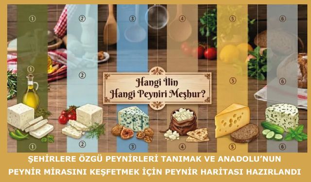 Şehirlere özgü peynirleri tanımak ve Anadolu’nun peynir mirasını keşfetmek için peynir haritası hazırlandı