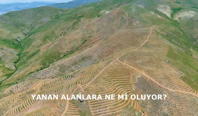 Dikkat! Orman yangınına sebep olmak, cezası olan ciddi bir suçtur