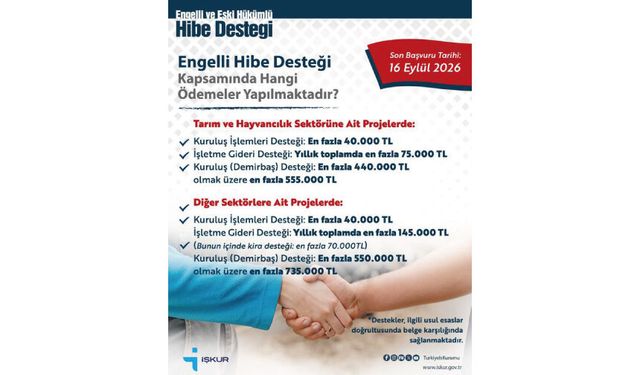 Engelli Hibe Desteği Kapsamında Hangi Ödemeler Yapılmaktadır?