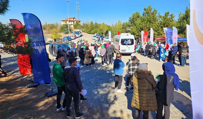 Afyonkarahisar’da ormanlar temizlendi