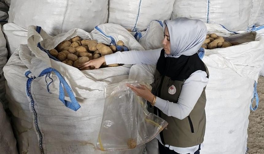 Afyonkarahisar’da Tunus’a 132 ton patates ihracatı yapıldı