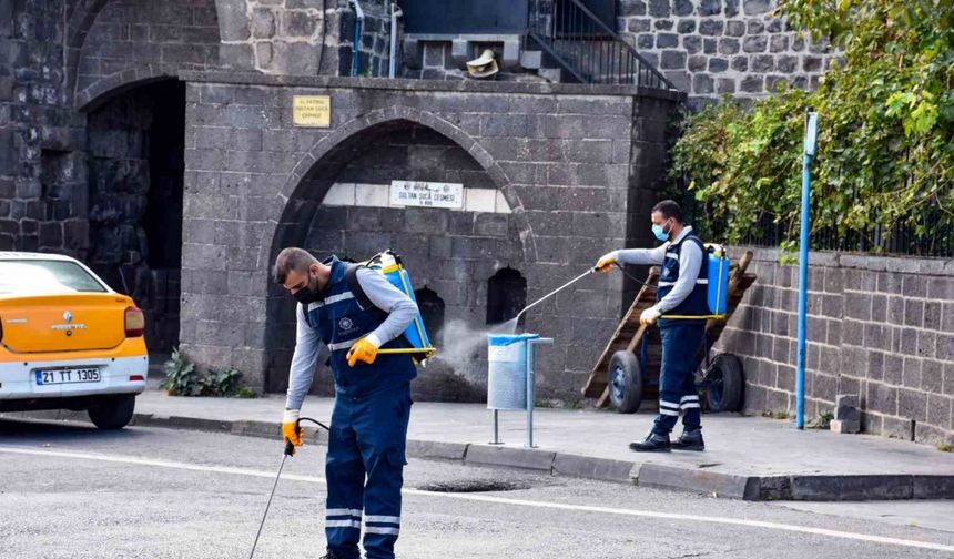 Haşerelere karşı ilaçlama çalışmaları sürüyor