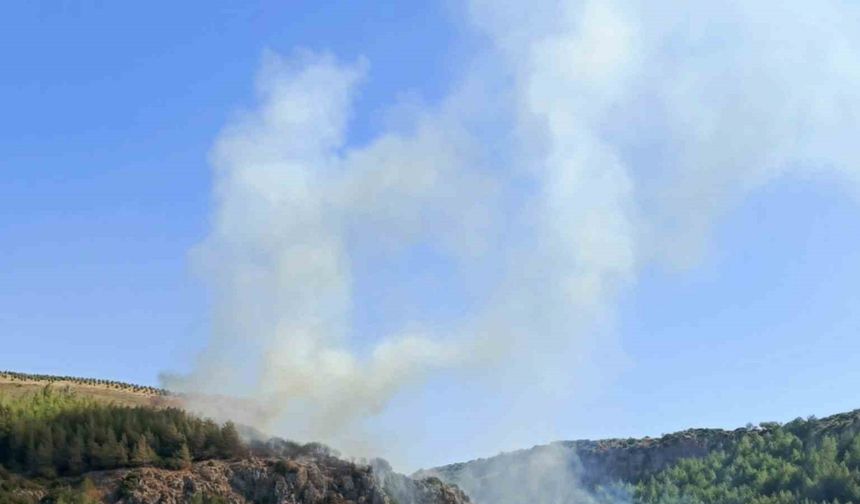 Hatay’da orman yangını