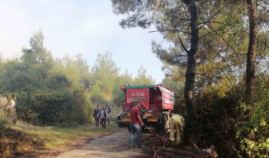 Osmaniye’de orman yangını başladı