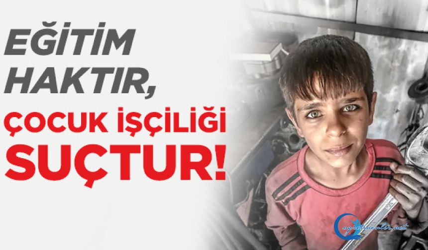 Eğitim Haktır, Çocuk İşçiliği Suçtur!
