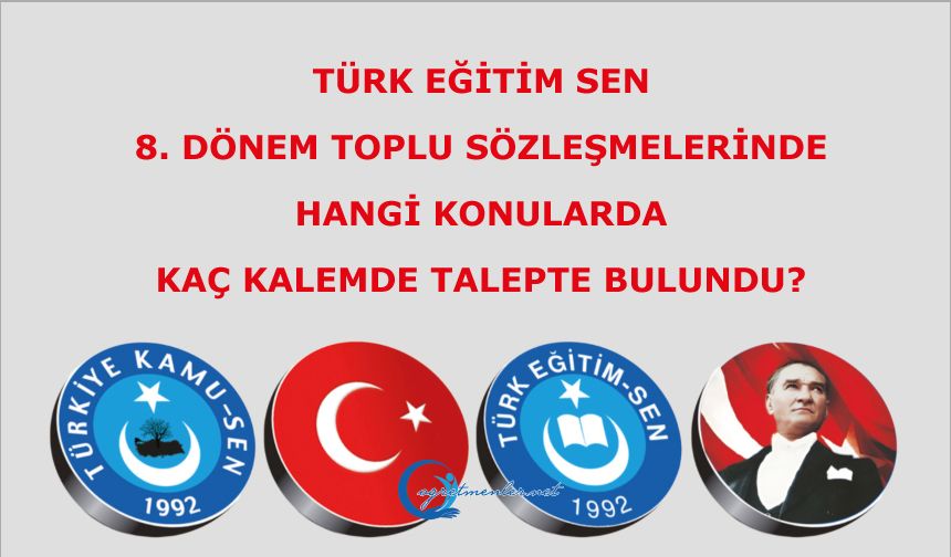 Türk Eğitim Sen  8. Dönem Toplu Sözleşmelerde hangi konularda kaç kalemde talepte bulundu?