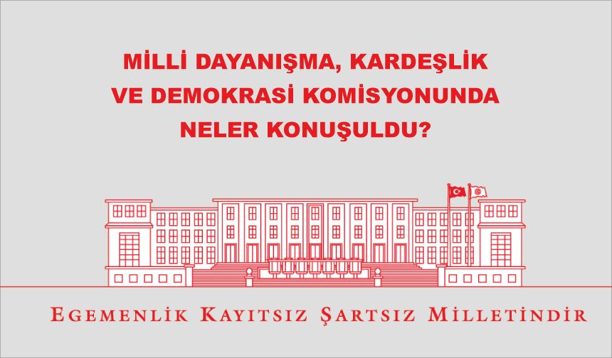 Milli Dayanışma, Kardeşlik Ve Demokrasi Komisyonunda neler konuşuldu?