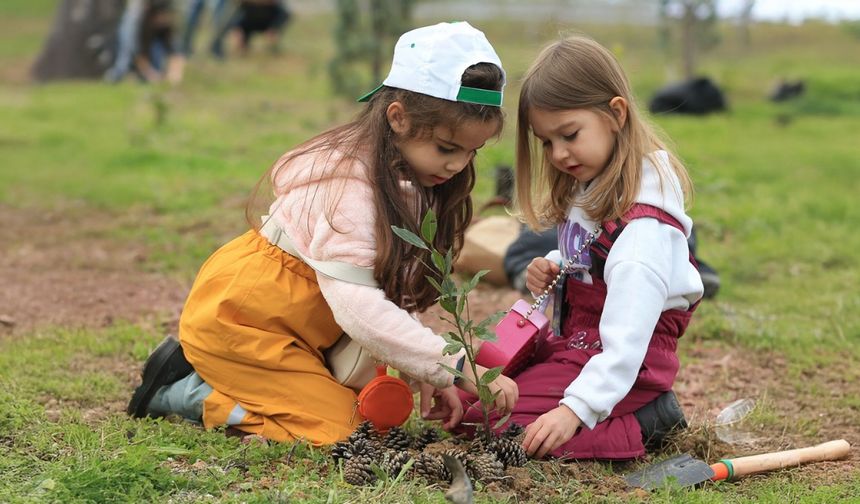 Bu aşk değil de ne?