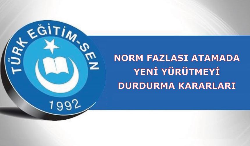 Norm Fazlası Atamada Yeni Yürütmeyi Durdurma Kararları
