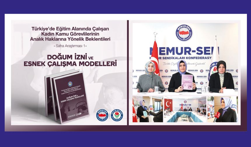 Analık Hakları Saha Araştırması Sonuçlarını Açıkladık